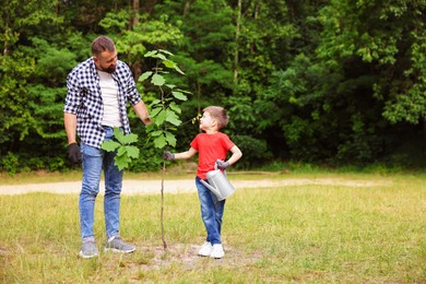 Photo of Father and his son planting tree into soil outdoors, space for text