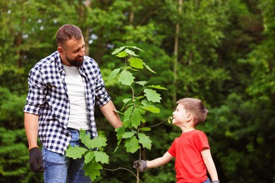 Photo of Father and his son planting tree outdoors