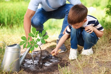 Photo of Father and his son planting tree into soil outdoors, closeup
