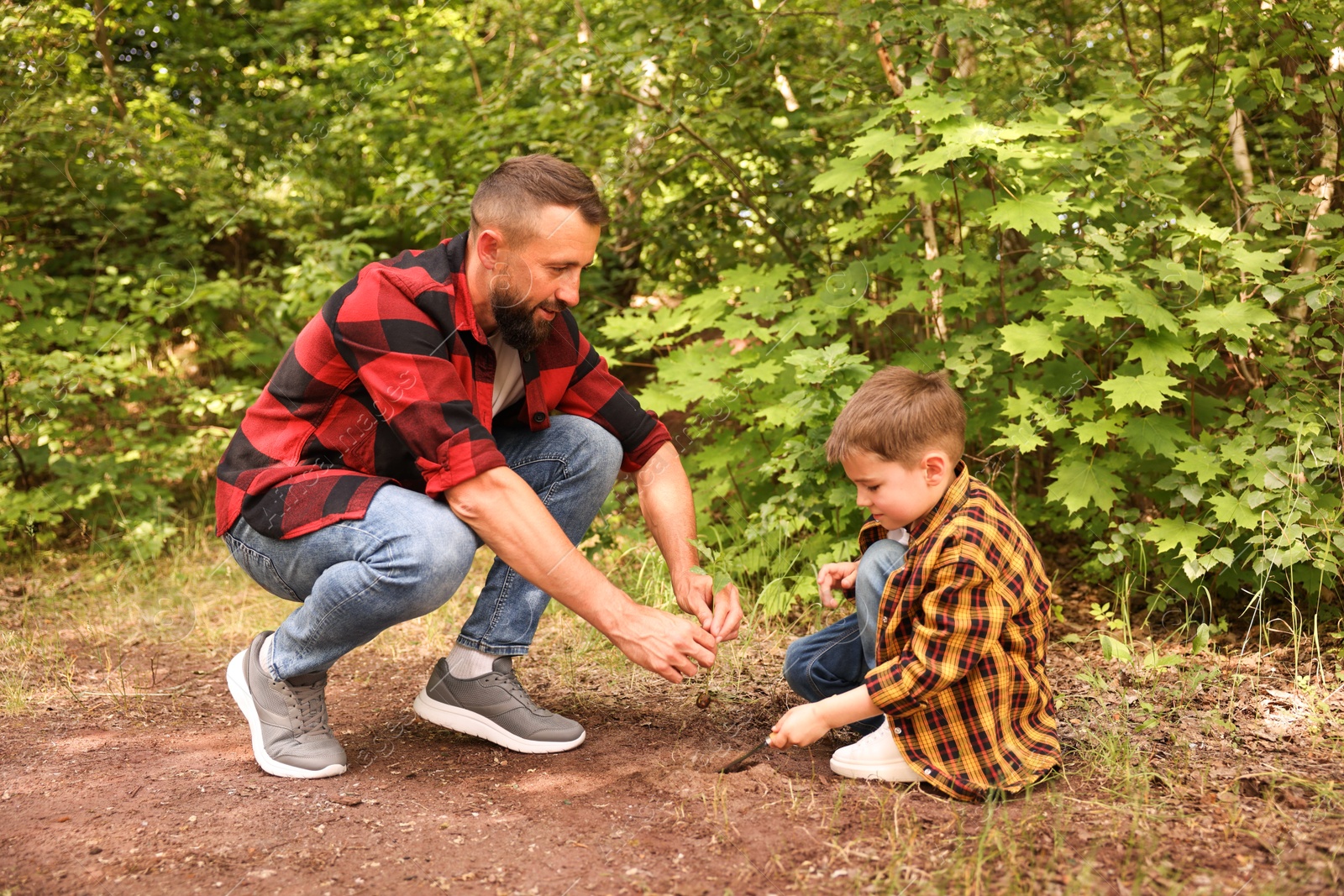 Father and his son planting tree into soil outdoors Photo of Father and his son planting tree into soil outdoors