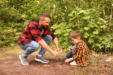 Photo of Father and his son planting tree into soil outdoors