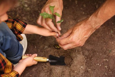 Photo of Father and his son planting tree into soil outdoors, closeup