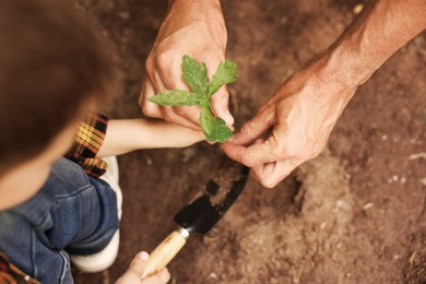 Photo of Father and his son planting tree into soil outdoors, closeup