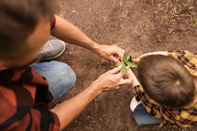 Photo of Father and his son planting tree into soil outdoors, above view