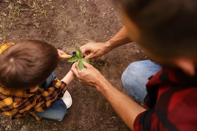 Photo of Father and his son planting tree into soil outdoors, above view