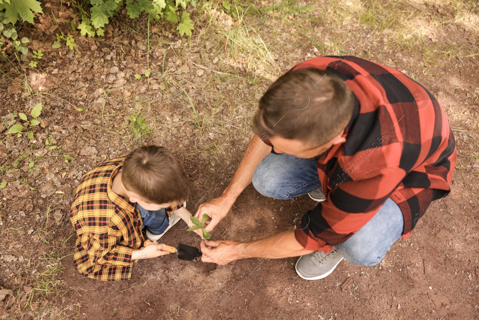 Photo of Father and his son planting tree into soil outdoors, above view
