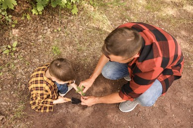 Photo of Father and his son planting tree into soil outdoors, above view