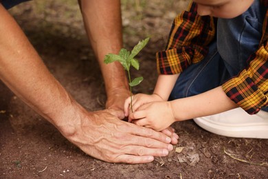 Photo of Father and his son planting tree into soil outdoors, closeup