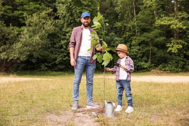 Photo of Father and his son planting tree into soil outdoors