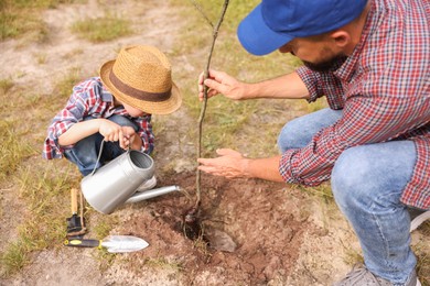 Photo of Father and his son planting tree into soil outdoors