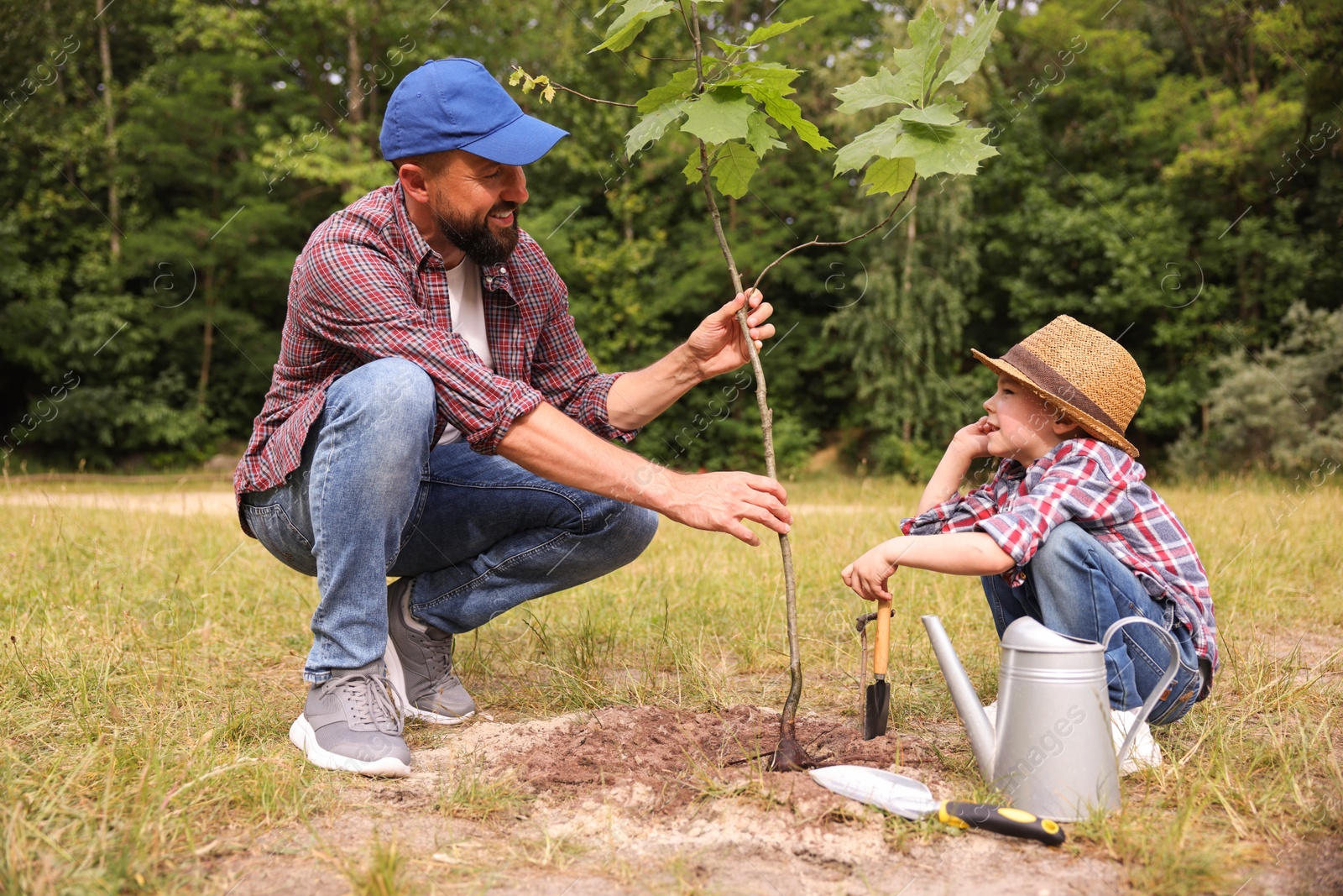 Father and his son planting tree into soil outdoors Photo of Father and his son planting tree into soil outdoors