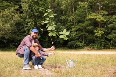 Photo of Father and his son planting tree into soil outdoors, space for text