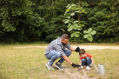 Photo of Father and his son planting tree into soil outdoors, space for text
