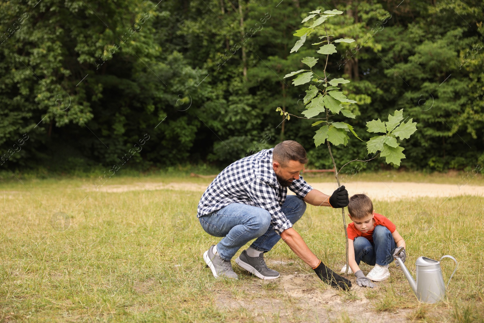 Photo of Father and his son planting tree into soil outdoors, space for text