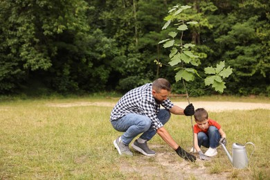 Photo of Father and his son planting tree into soil outdoors, space for text