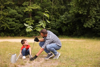 Photo of Father and his son planting tree into soil outdoors, space for text