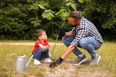 Photo of Father and his son planting tree into soil outdoors