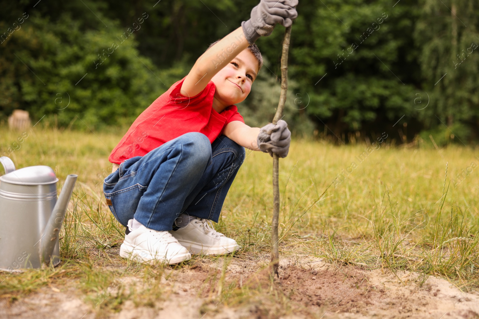 Little boy planting tree into soil outdoors Photo of Little boy planting tree into soil outdoors
