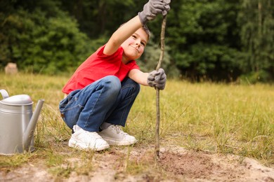 Photo of Little boy planting tree into soil outdoors