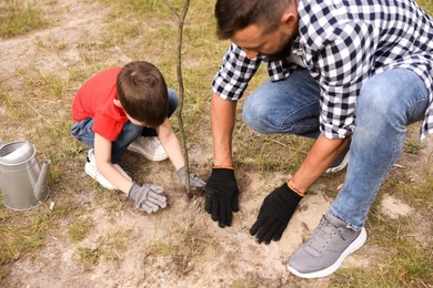 Photo of Father and his son planting tree into soil outdoors