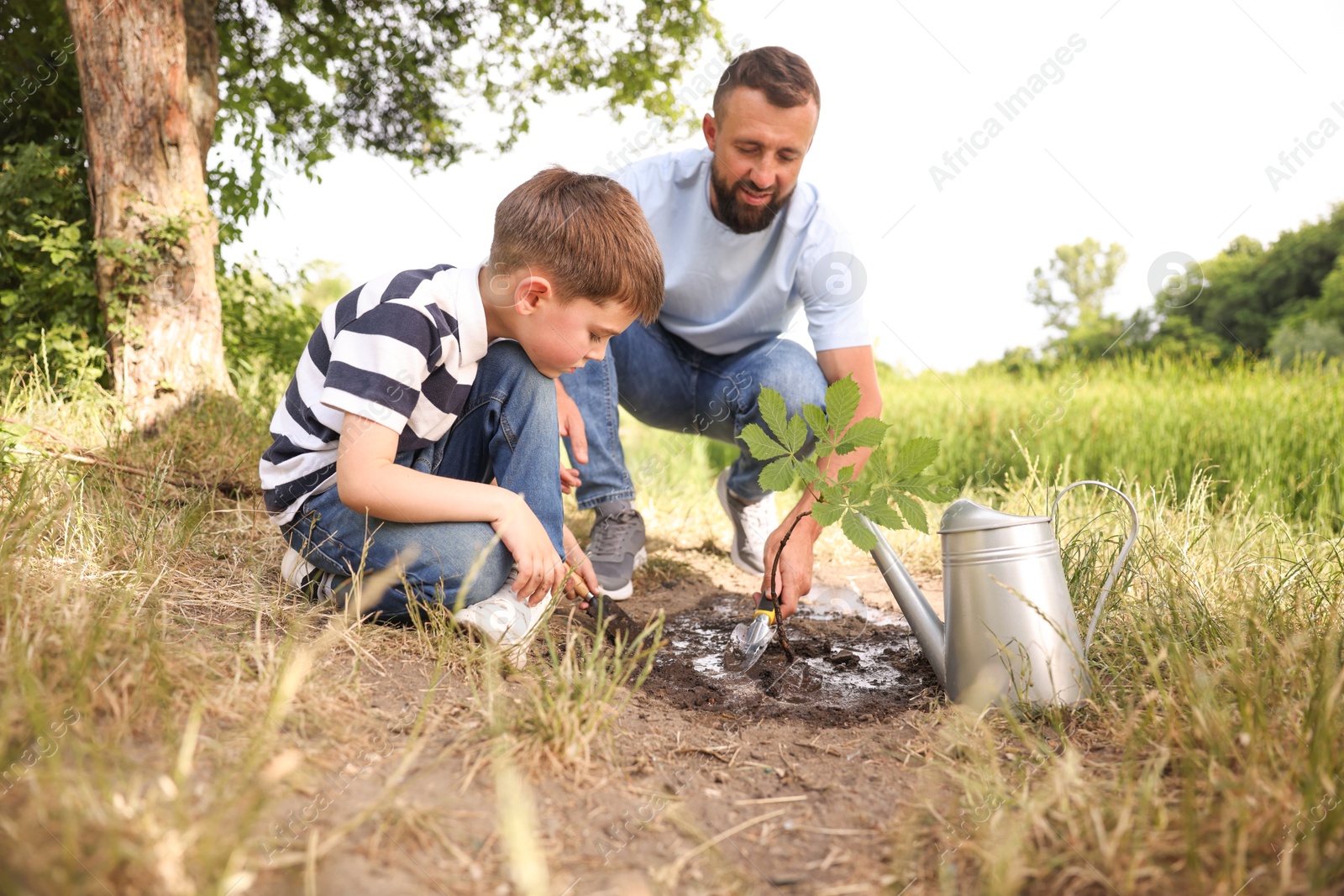 Father and his son planting tree into soil outdoors Photo of Father and his son planting tree into soil outdoors