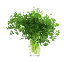 Photo of Aromatic cilantro in glass isolated on white