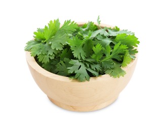 Photo of Aromatic cilantro in bowl isolated on white