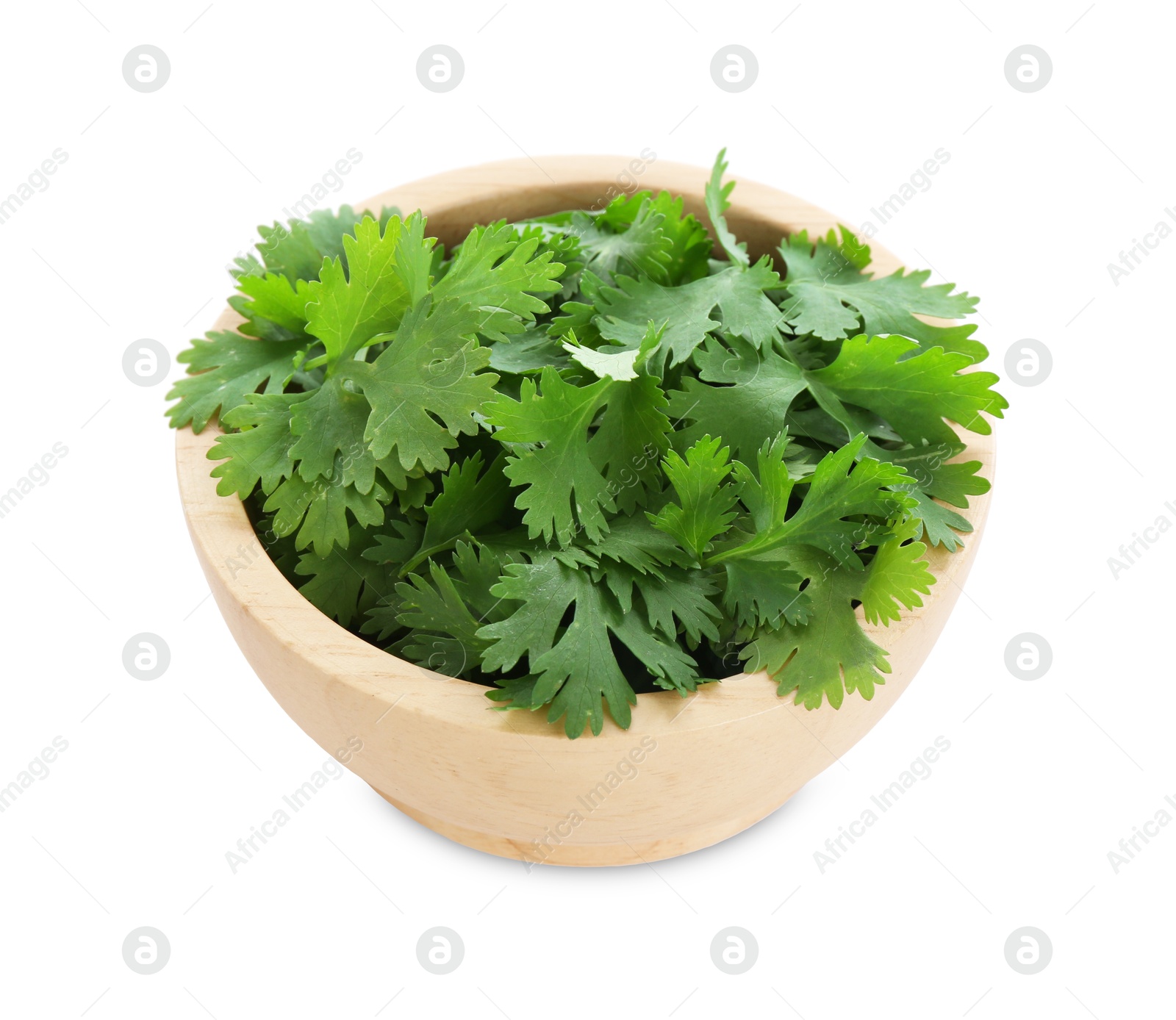 Photo of Aromatic cilantro in bowl isolated on white