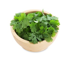 Photo of Aromatic cilantro in bowl isolated on white