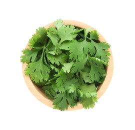 Photo of Aromatic cilantro in bowl isolated on white, top view