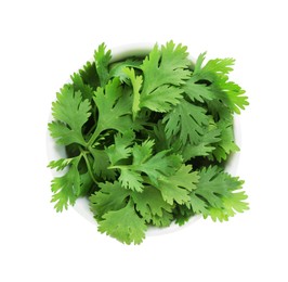 Photo of Aromatic cilantro in bowl isolated on white, top view