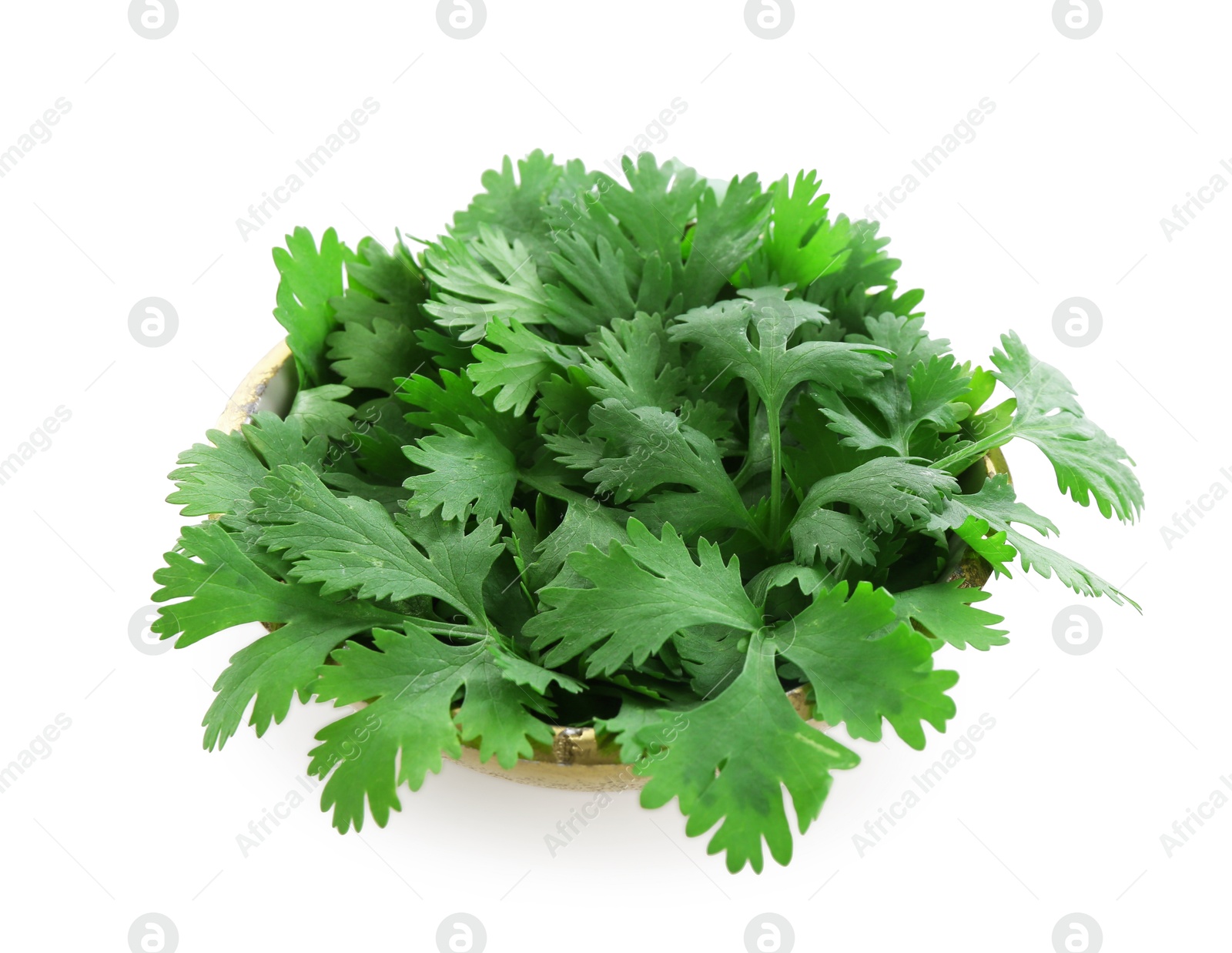 Aromatic cilantro in bowl isolated on white Photo of Aromatic cilantro in bowl isolated on white