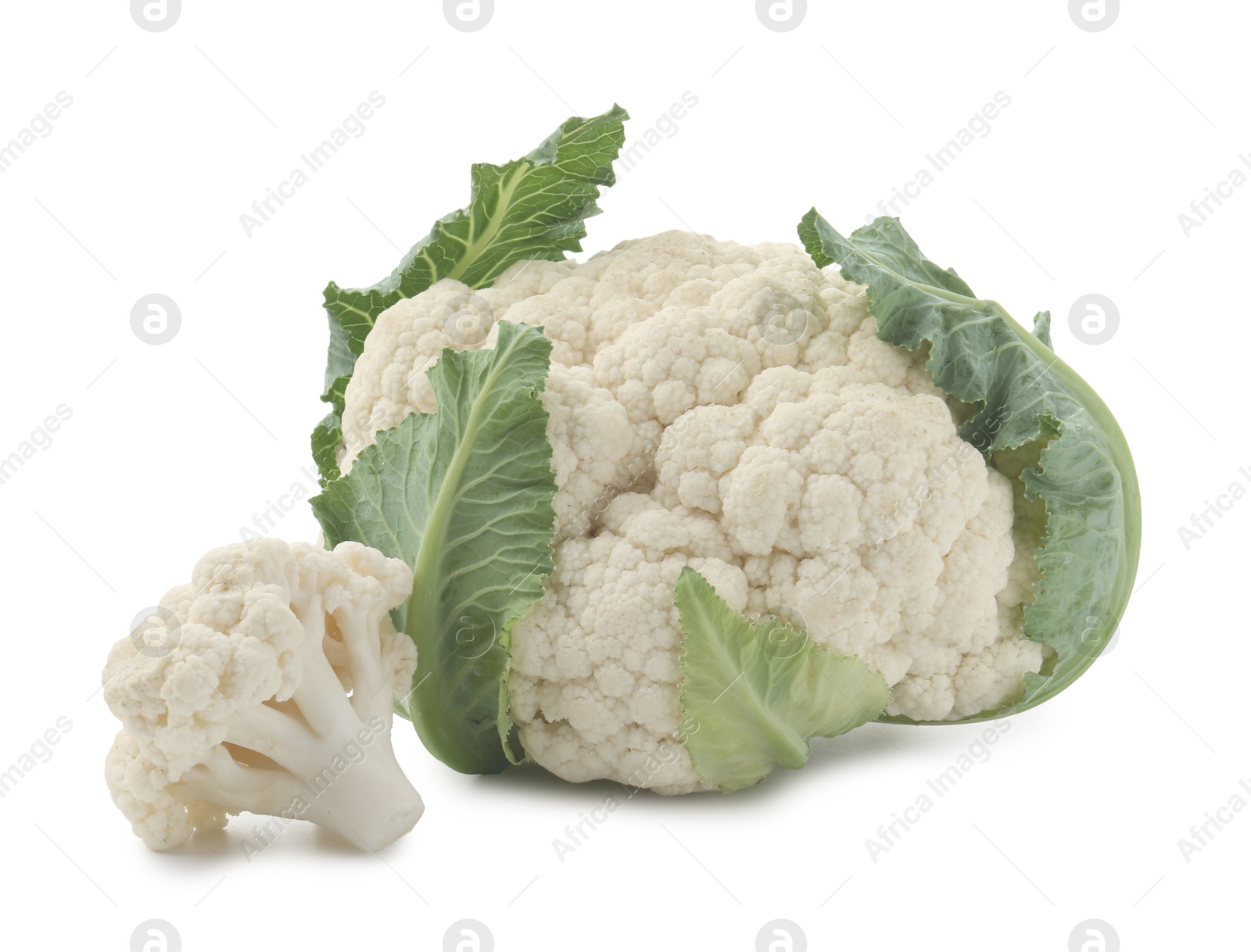 One fresh cauliflower head and floret isolated on white Photo of One fresh cauliflower head and floret isolated on white