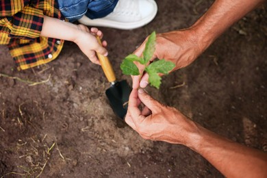 Photo of Father and his son planting tree into soil outdoors, closeup
