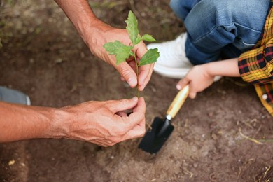 Photo of Father and his son planting tree into soil outdoors, closeup