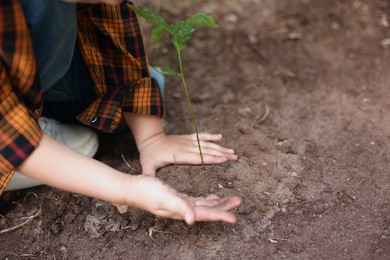 Photo of Little boy planting tree into soil outdoors, closeup. Space for text