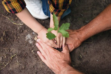 Photo of Father and his son planting tree into soil outdoors, closeup