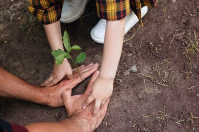 Photo of Father and his son planting tree into soil outdoors, closeup
