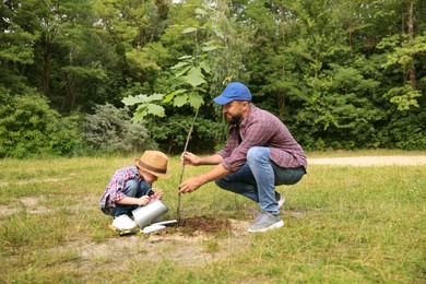 Photo of Father and his son planting tree into soil outdoors