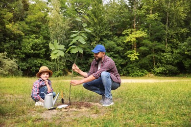Photo of Father and his son planting tree into soil outdoors, space for text