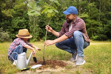 Photo of Father and his son planting tree into soil outdoors