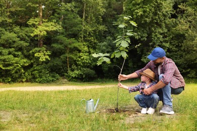 Photo of Father and his son planting tree into soil outdoors, space for text