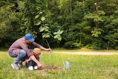 Photo of Father and his son planting tree into soil outdoors, space for text