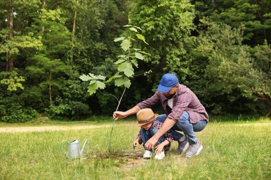 Photo of Father and his son planting tree into soil outdoors