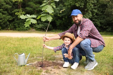 Photo of Father and his son planting tree into soil outdoors