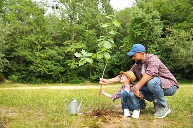 Photo of Father and his son planting tree into soil outdoors, space for text