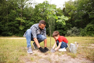 Photo of Father and his son planting tree into soil outdoors