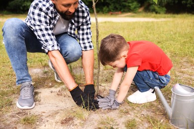 Photo of Father and his son planting tree into soil outdoors