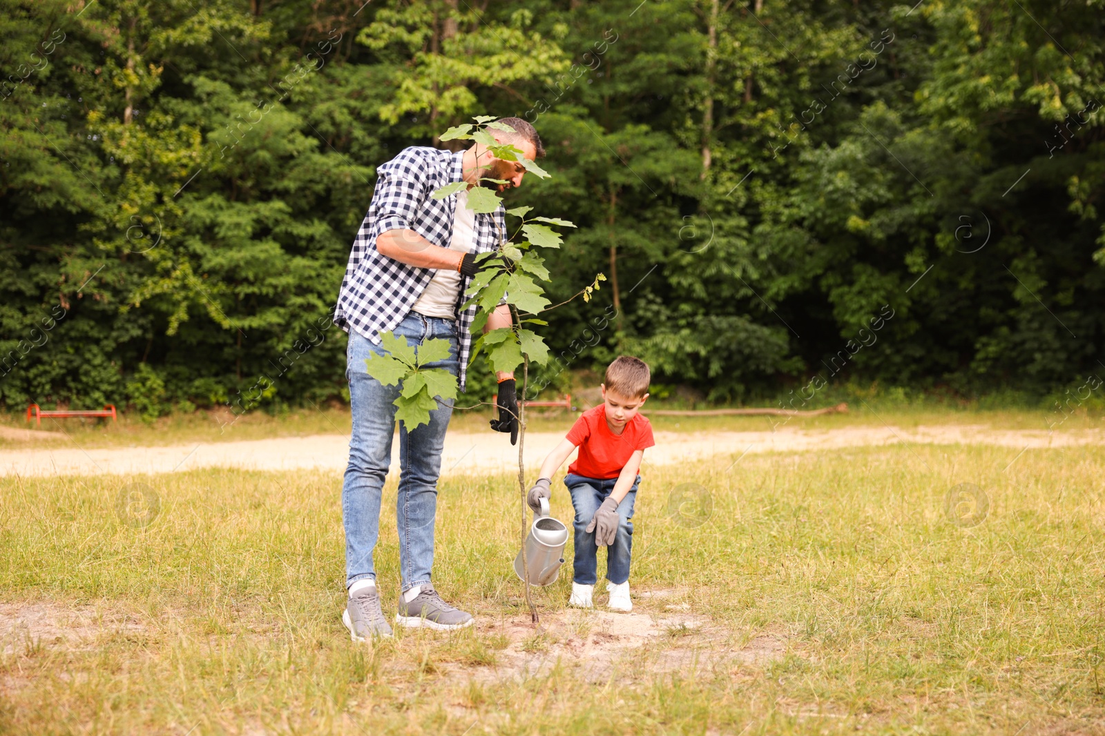 Photo of Father and his son planting tree into soil outdoors