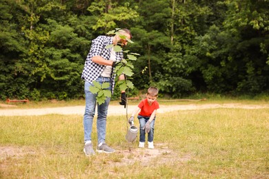 Photo of Father and his son planting tree into soil outdoors